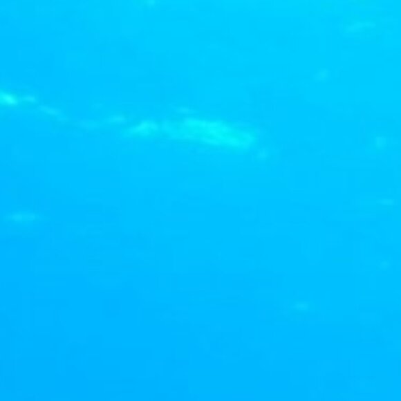 Meet your Posher, Greta - Picture 1 of 1